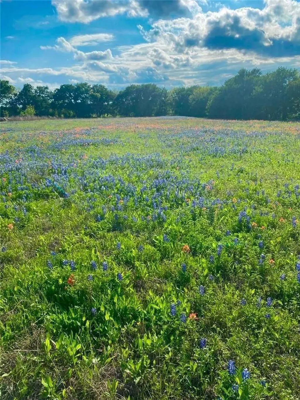 Tbd Kirkland Hill Road, Axtell