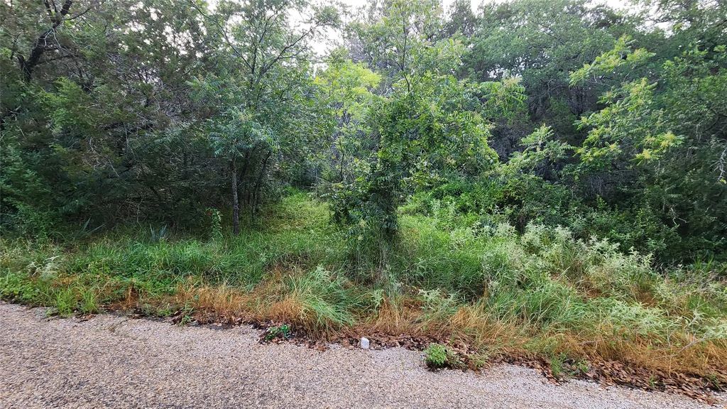 327 Capricorn Drive, Granbury