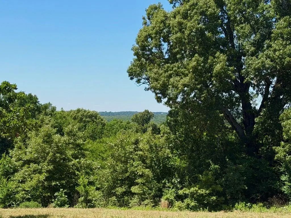 261 High Point Court, Athens