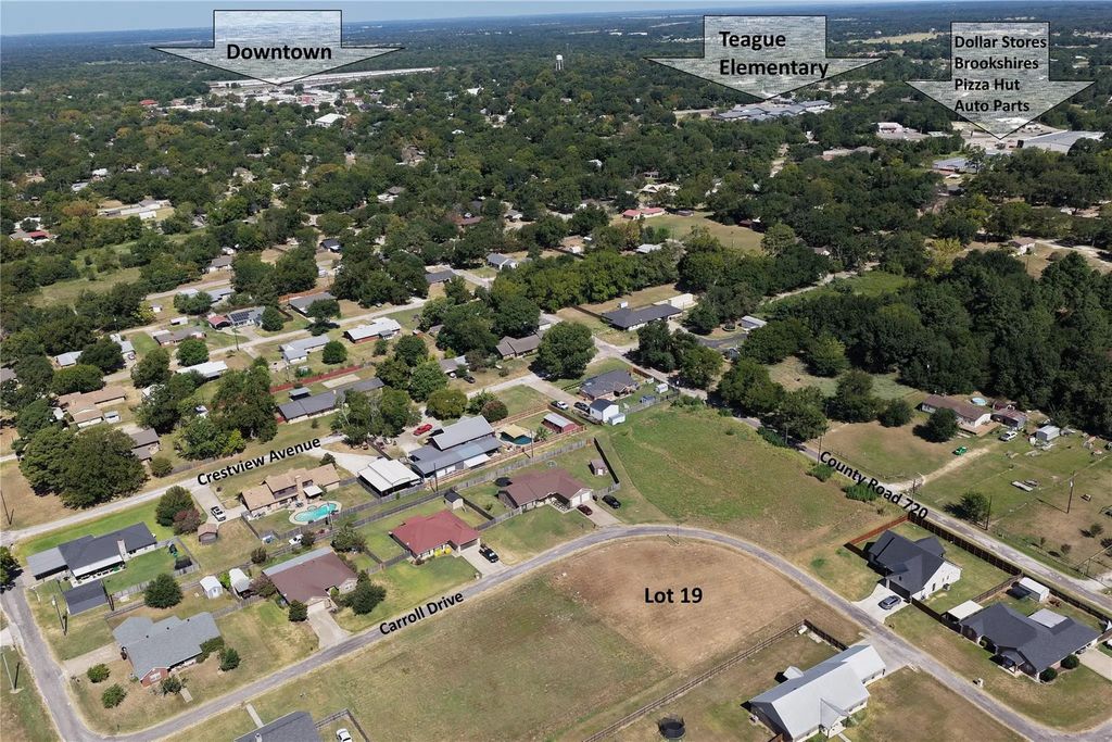 Lot 19 Carroll, Teague