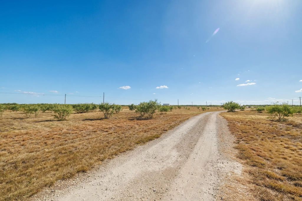 3126 S Fm 707, Tye