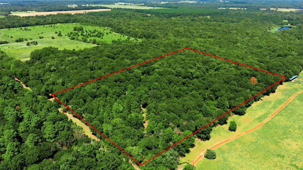 Tbd Cr 3613, Murchison