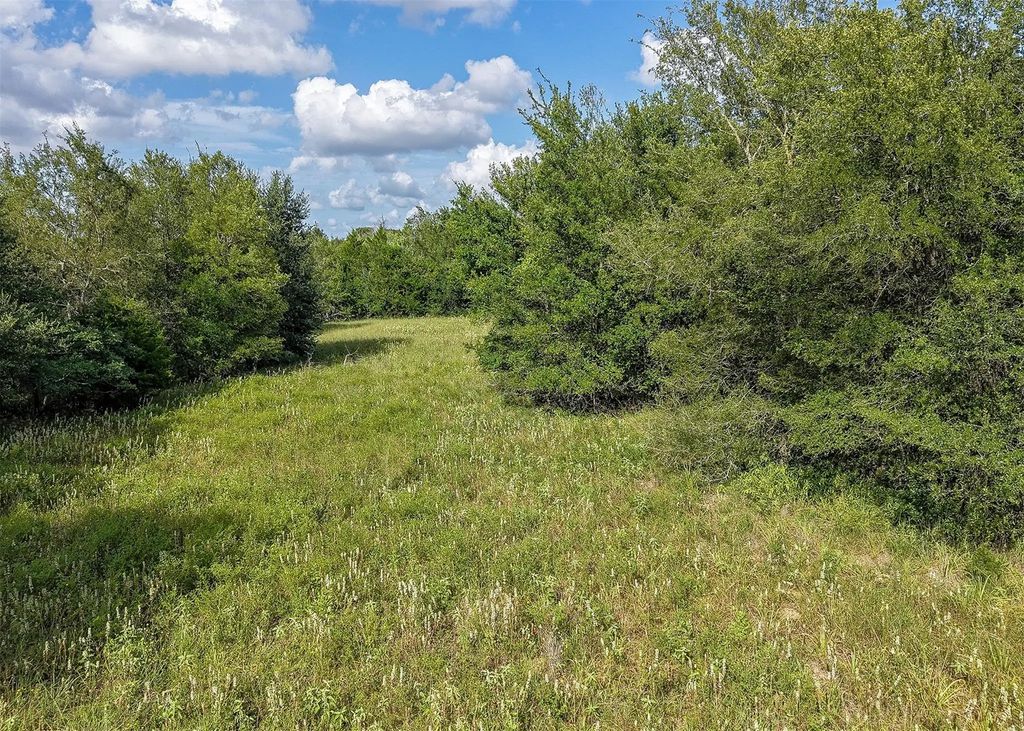 1210 County Road 302, Rockdale