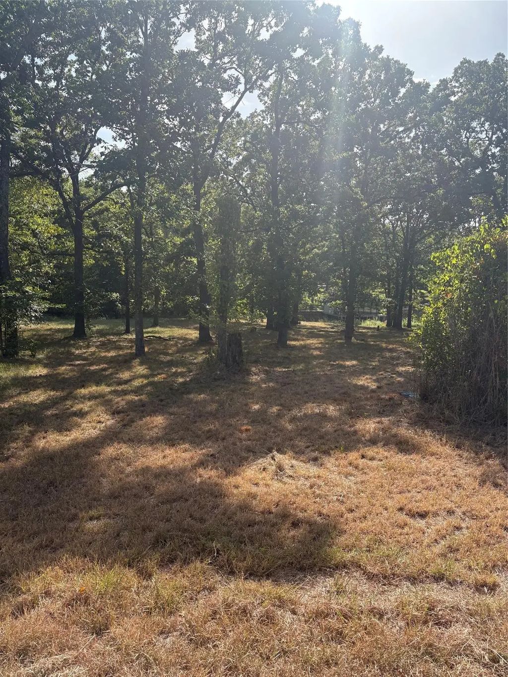 360 Buena Vista, Malakoff