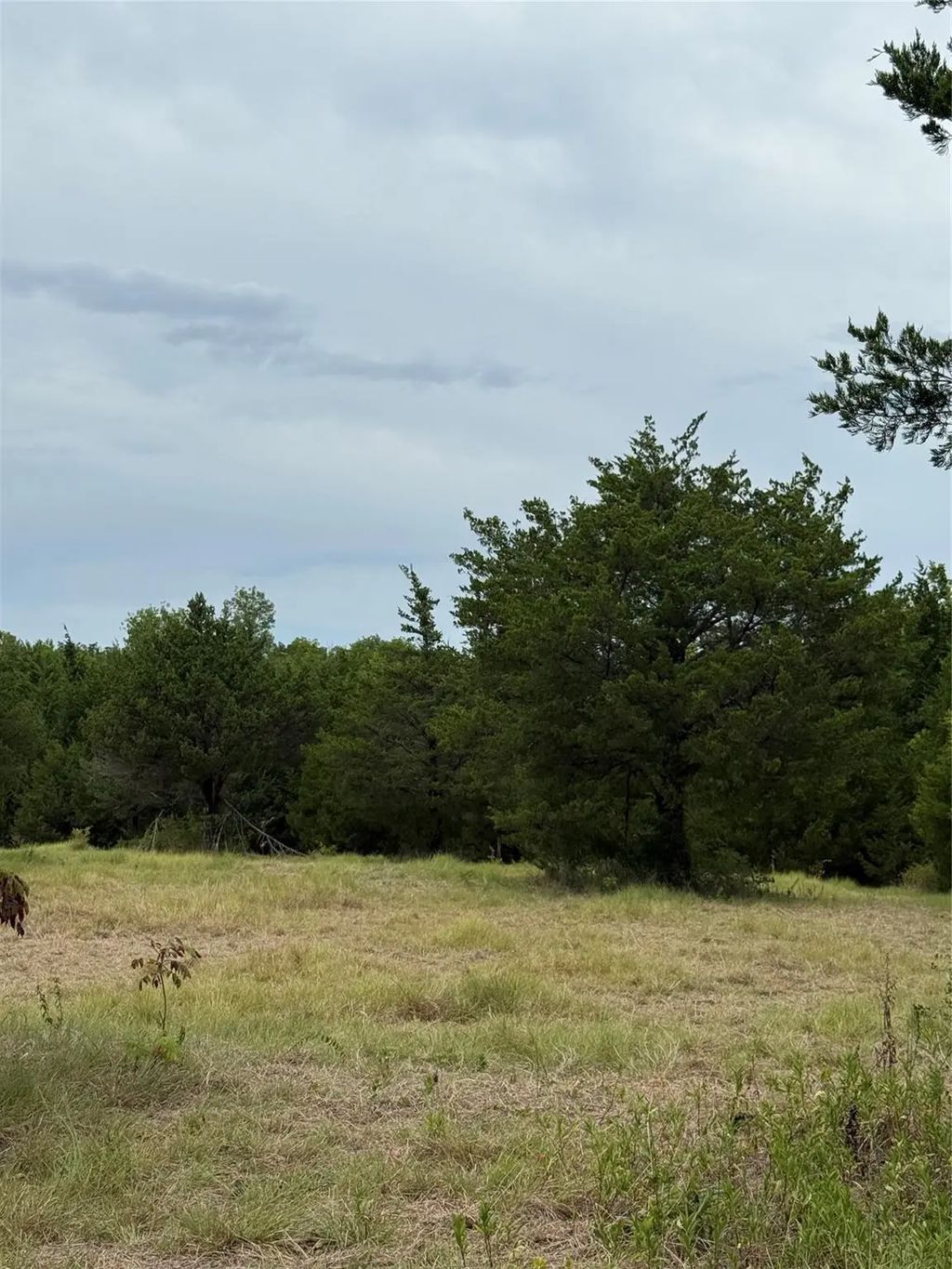 Tbd 1 County Road 3040, Bonham