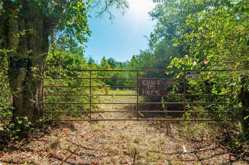 241 County Road 4824, Ben Wheeler