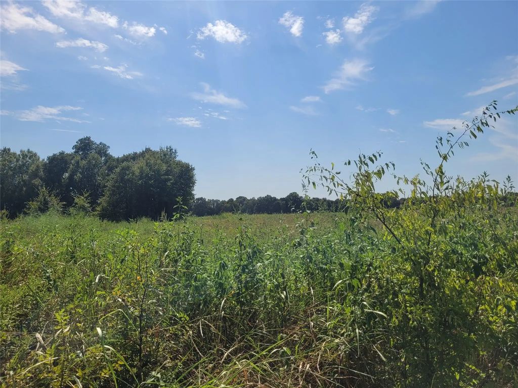 Tbd County Road 4135, Clarksville