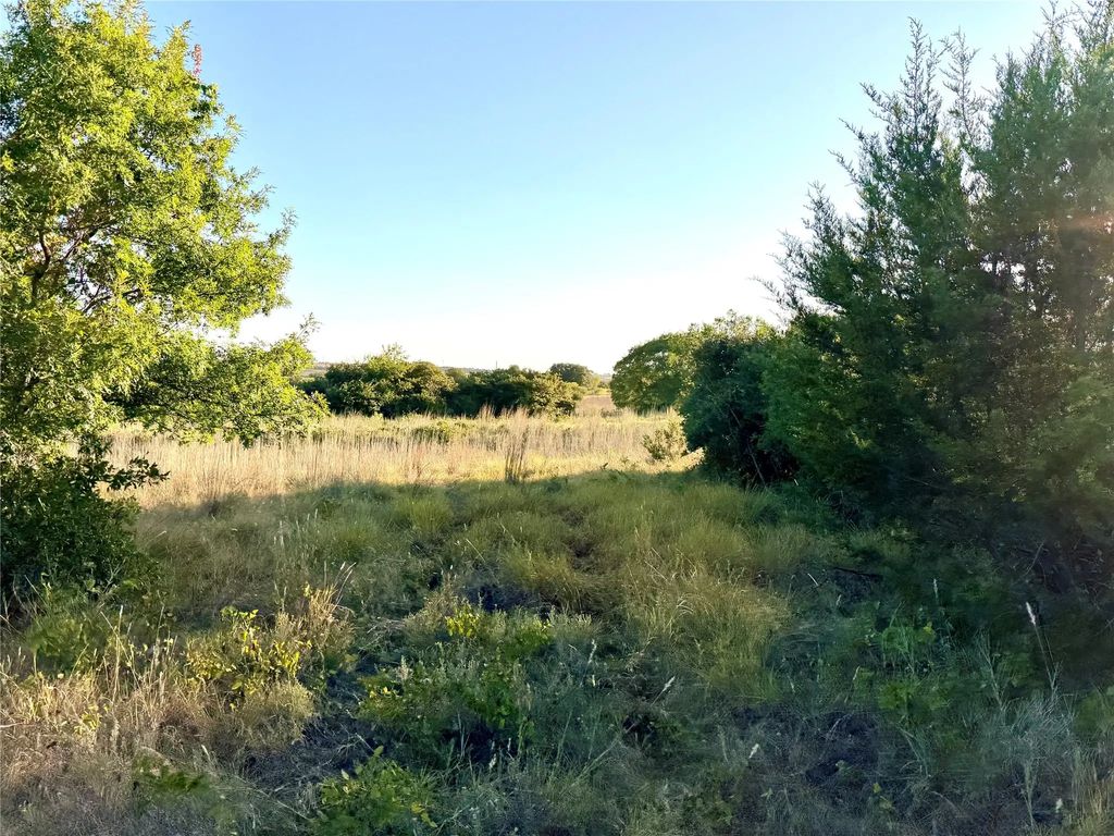 37 Pr 224, Goldthwaite