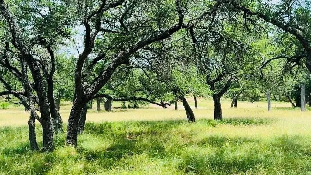 Lot 26 Swiss Ranch Rd, Round Mountain