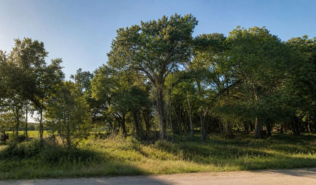 11950 Trinity Hills Road, Kemp