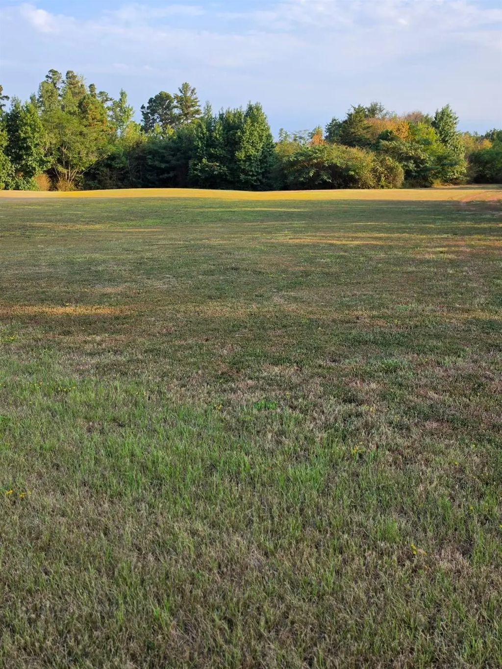 Tbd Cr-335, Tyler