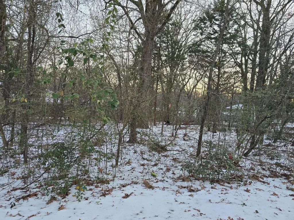 Lot 753 Doe Run Road, Gun Barrel City
