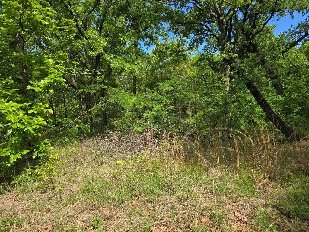 Lot 700 Shady Grove Road, Gun Barrel City