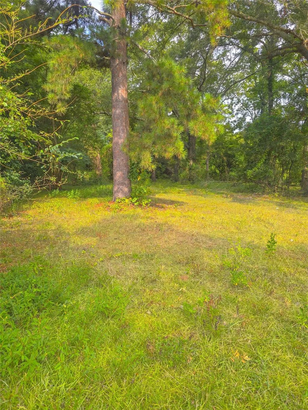 1109 Sibley Road, Minden