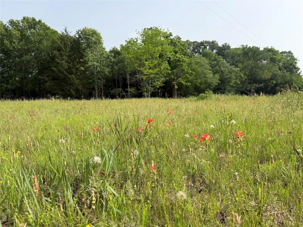Tbd County Road 1130, Cumby