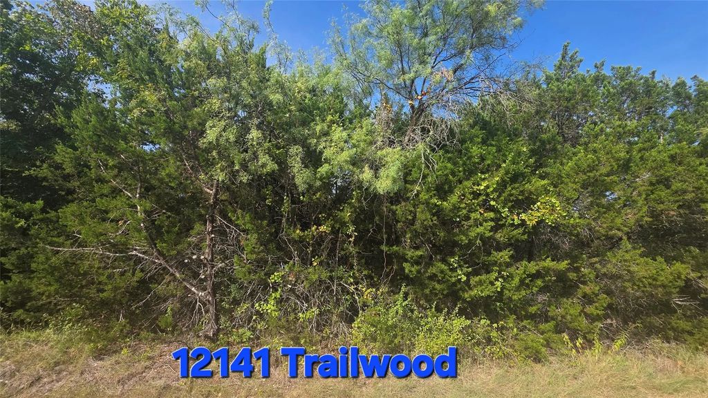 12141 Trailwood Drive, Whitney