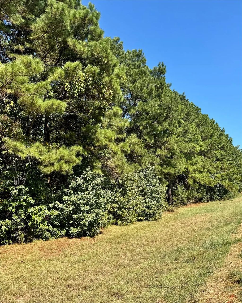 Hwy 9, Arcadia