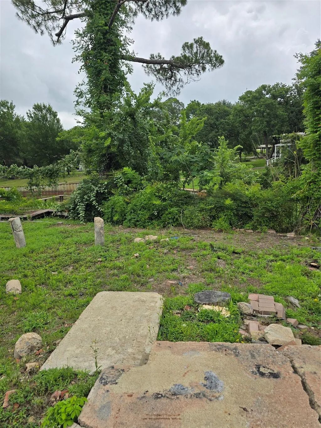 104 Shoreline Drive, Tool