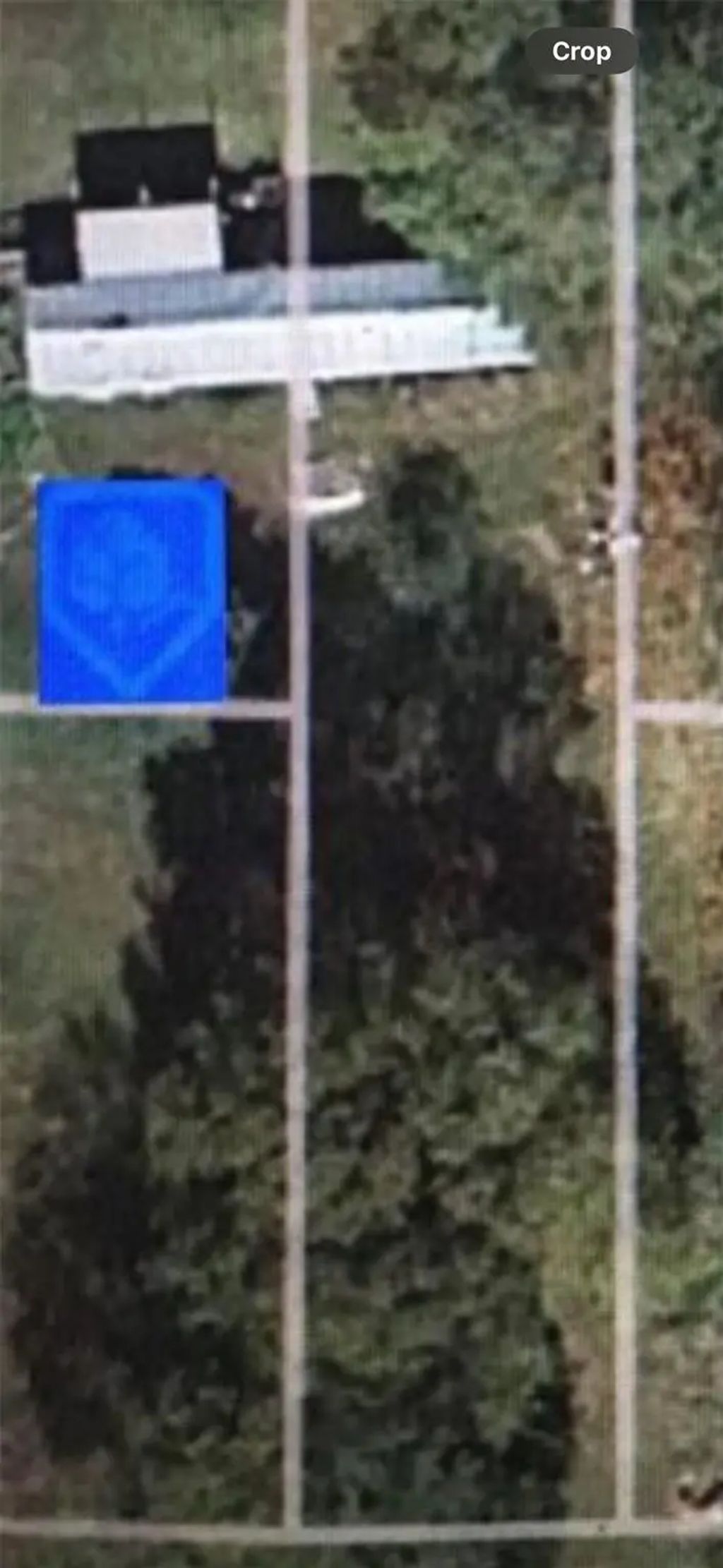 456 Cougar N Drive, Buna