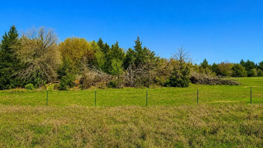 Lot 11 Parker Dairy Road, Forestburg