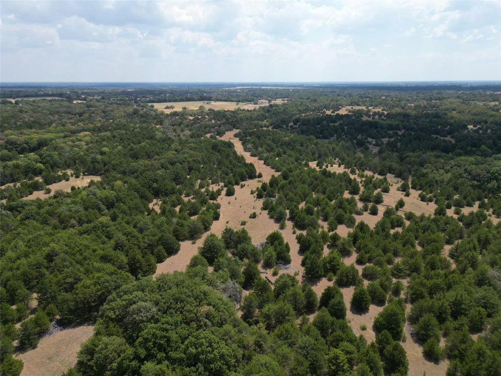 25 Acres County Road 1019, Celeste