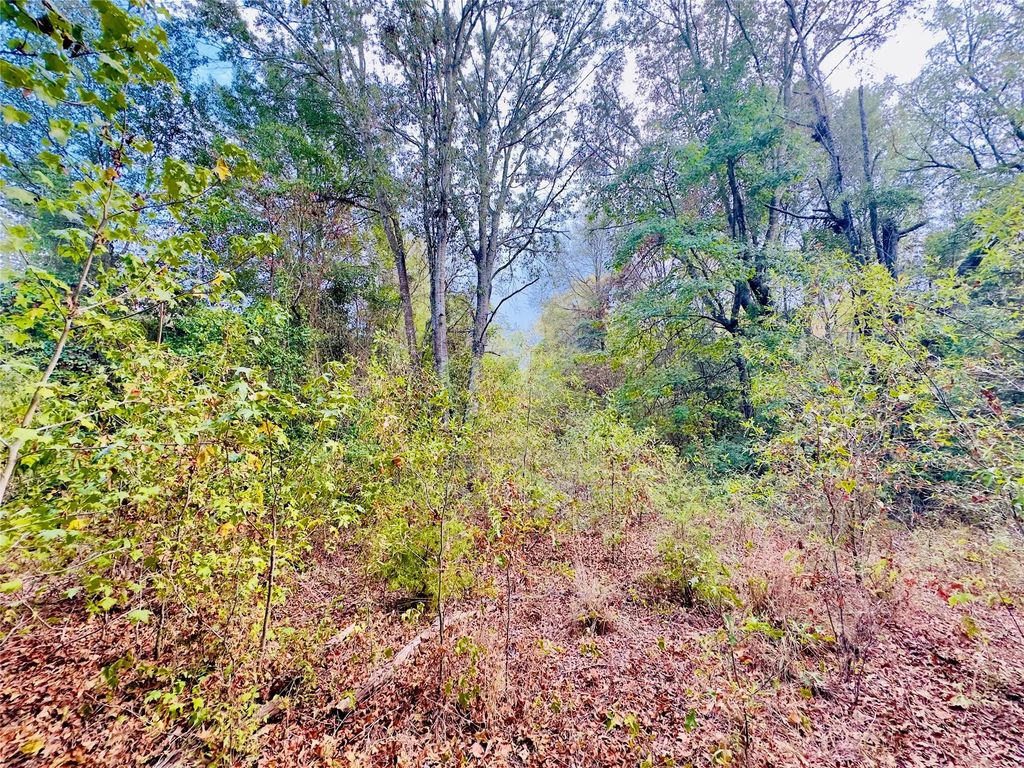 Apple Tree Road, Gilmer