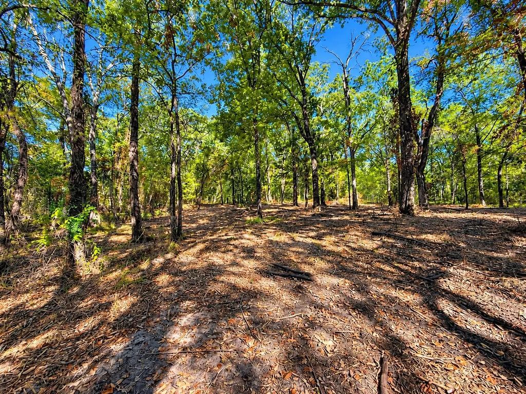Lot 2 Wood Creek Drive, Lone Oak