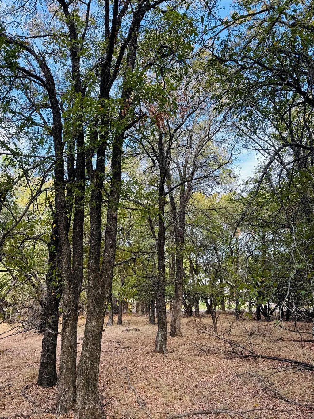 7103 Cedar Valley Drive, Whitney
