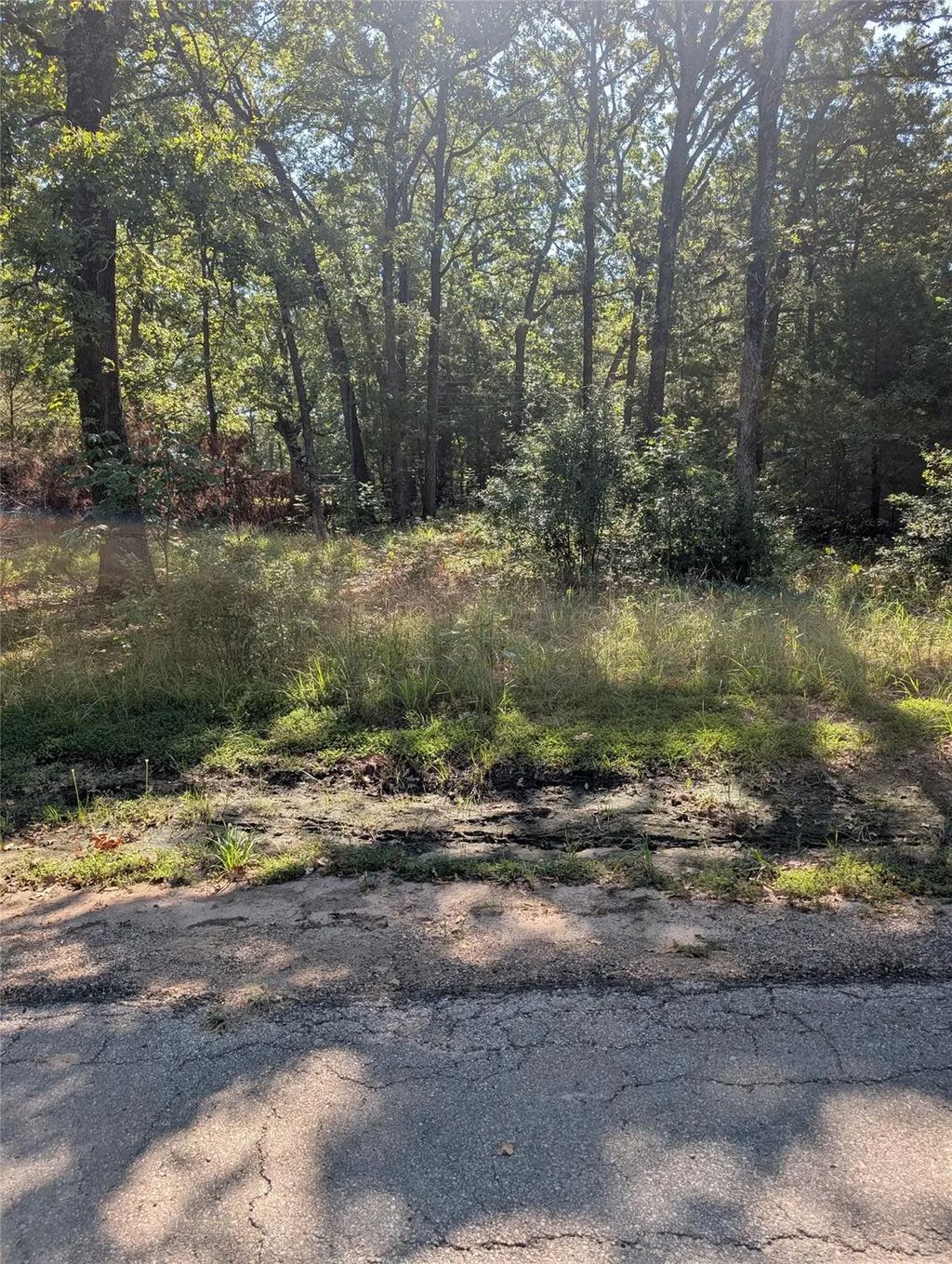 202 Chillacothe Trail, Mabank