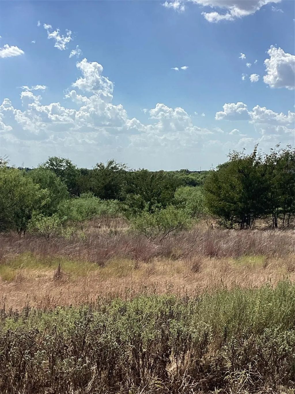 808 San Jacinto Drive, Aledo