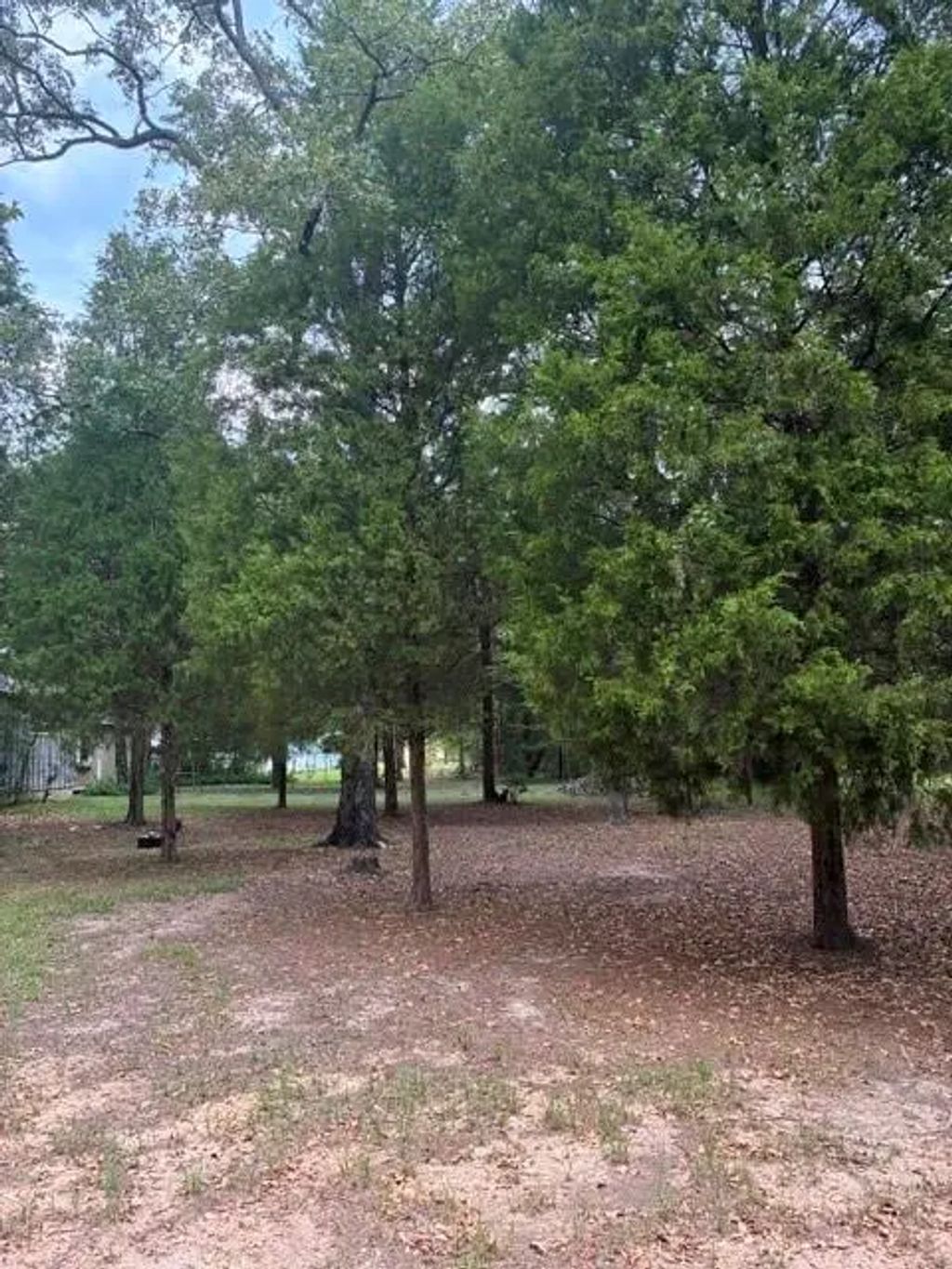 Jim Bowie Lane, Log Cabin