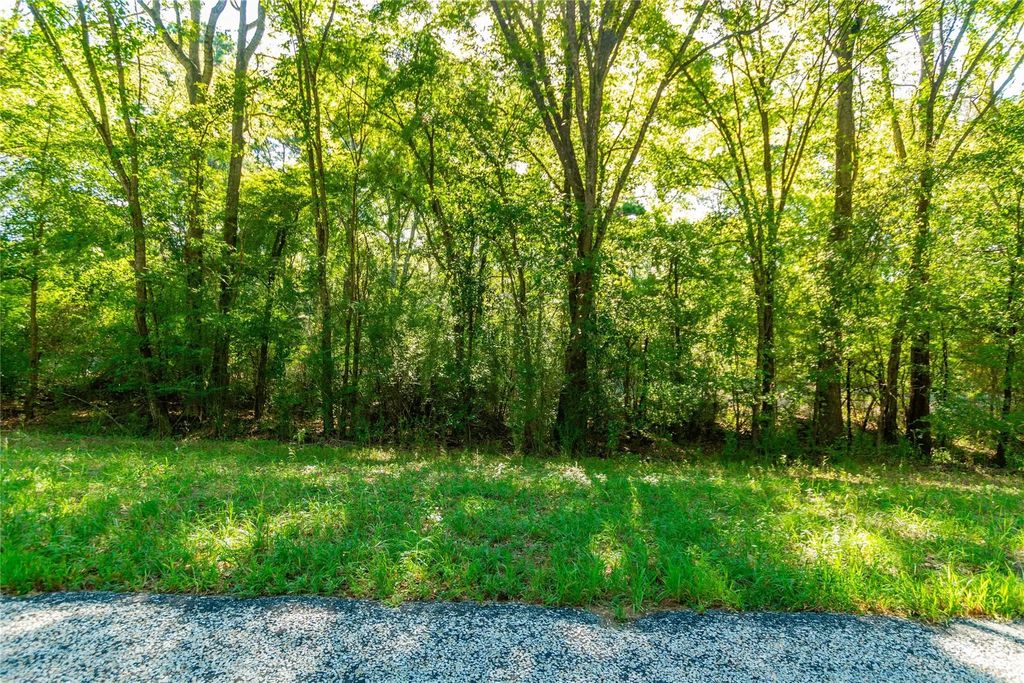 Tbd Fm 2064 N, Troup