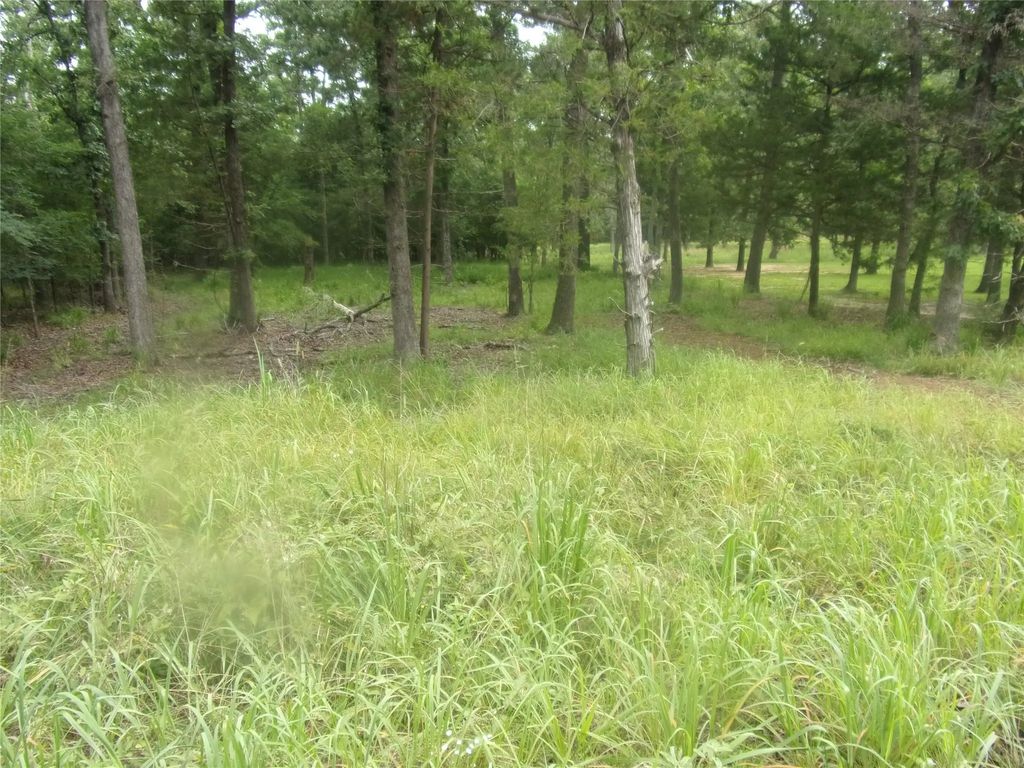 944 Whipporwill, Murchison