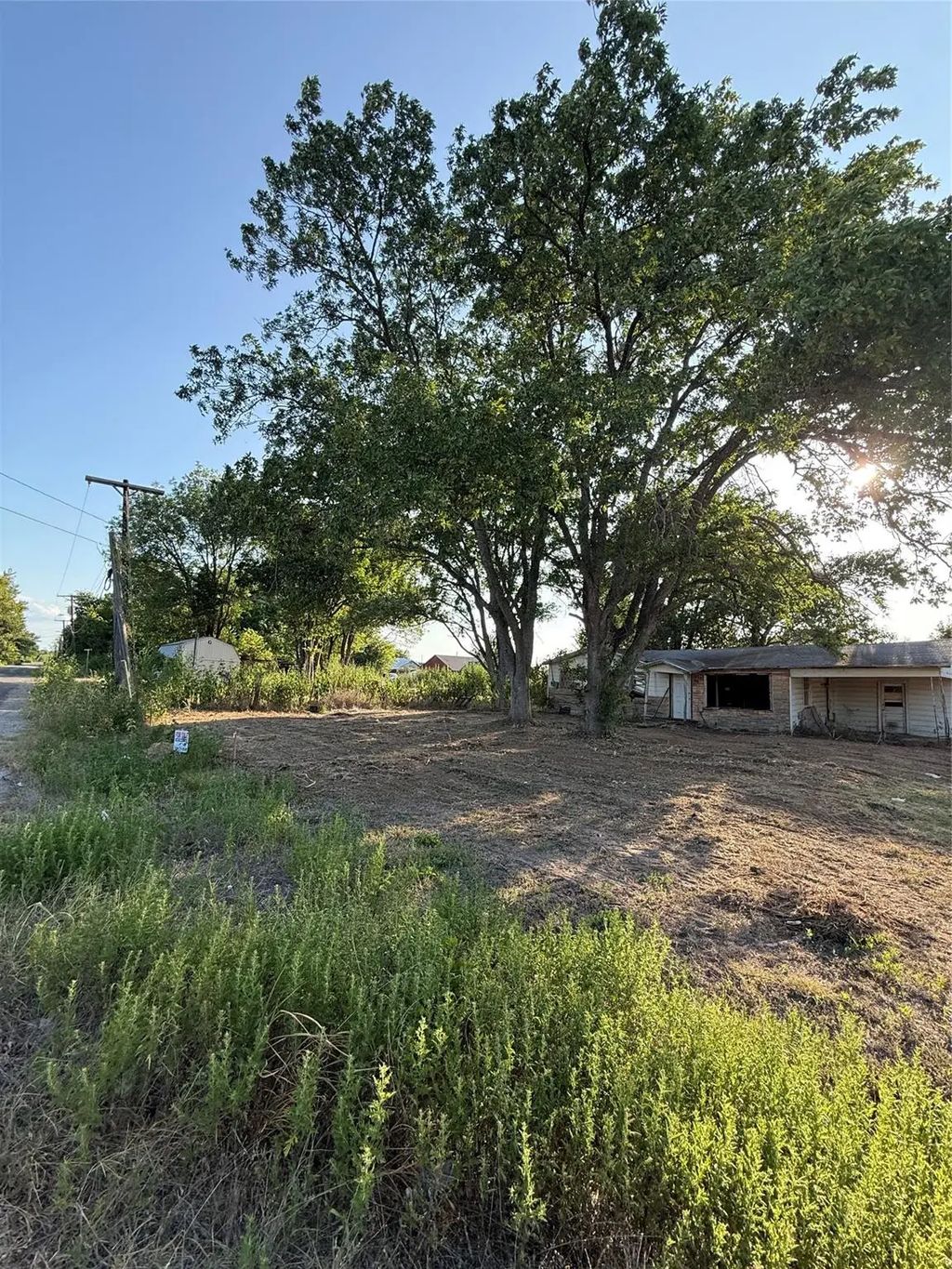 Pin Oak, Hearne