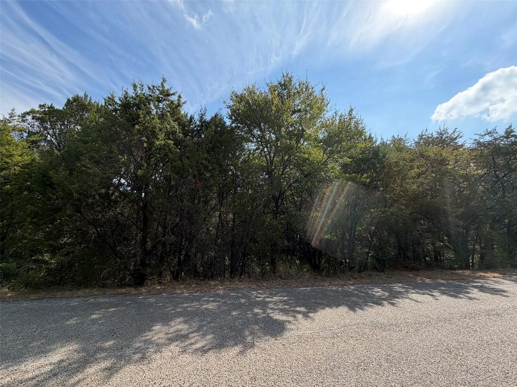3633 Flint Rock Circle, Granbury