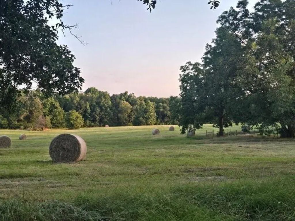 20086 County Road 299, Arp