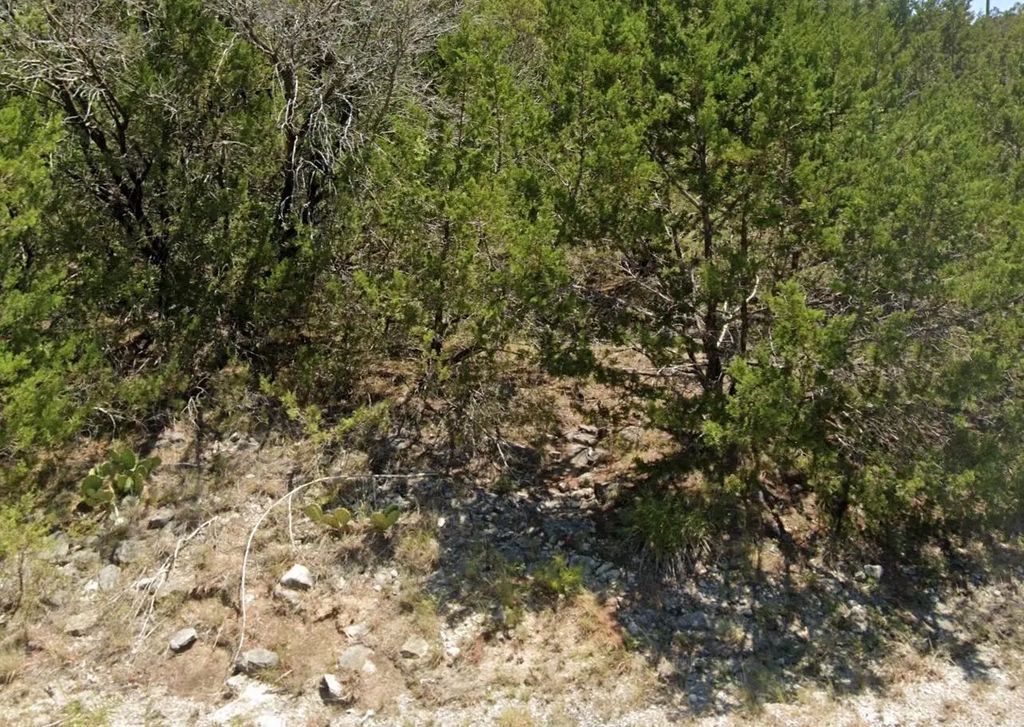 4705 Evening View Drive, Granbury