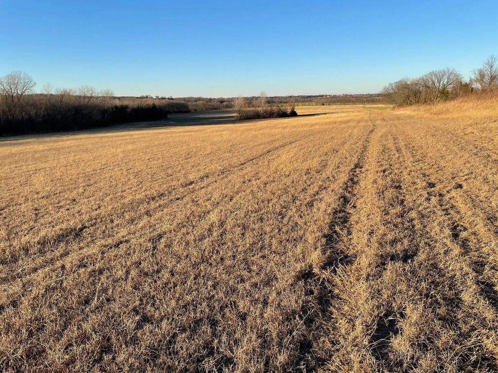 61.96ac Mary Fitch Road, Tom Bean
