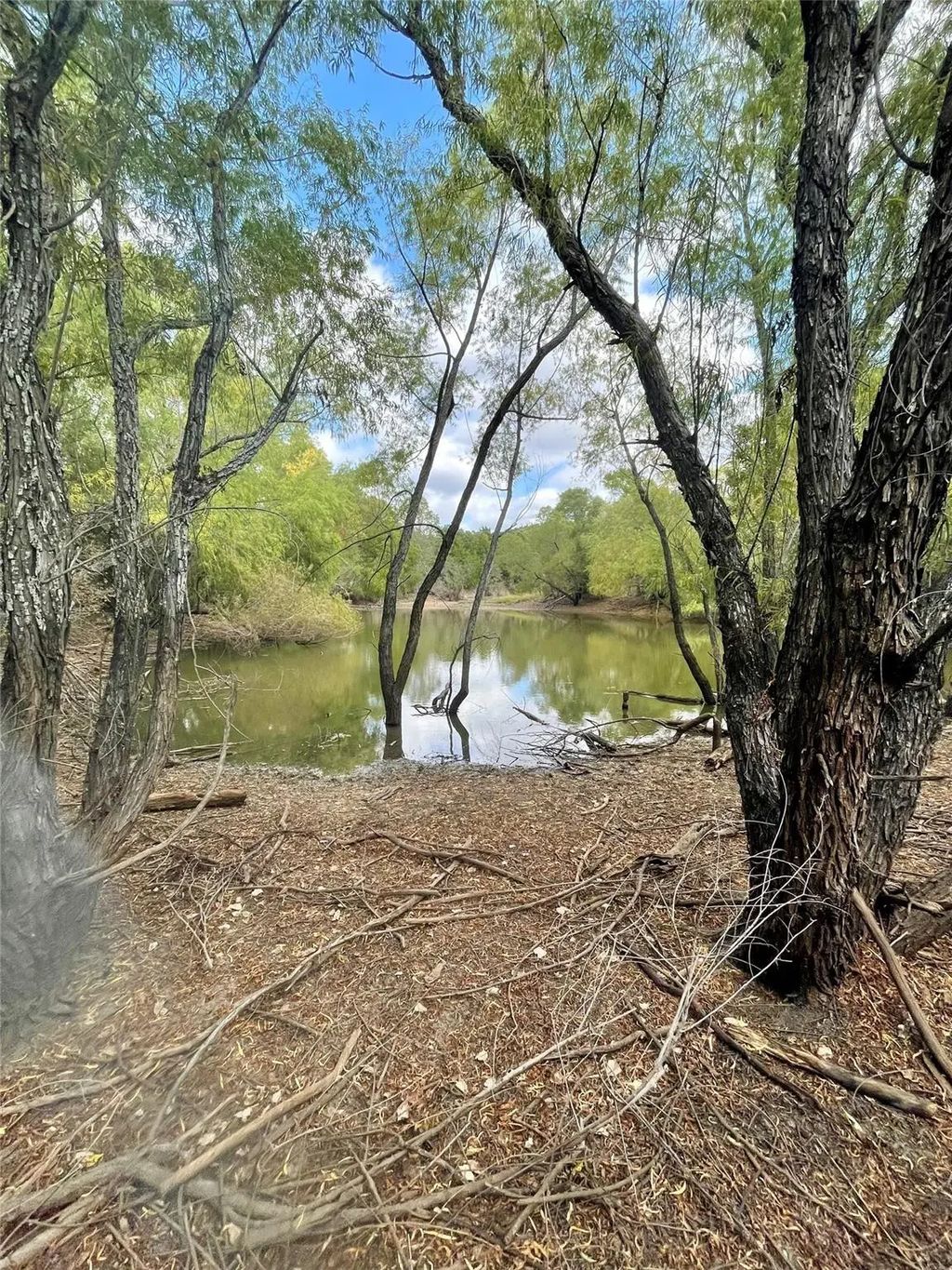 334 Greanead Road, Forestburg