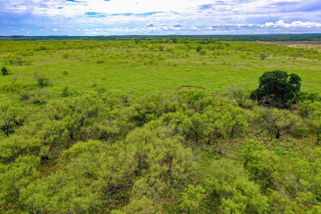 Tbd Fm 175 Tract #1, Jacksboro