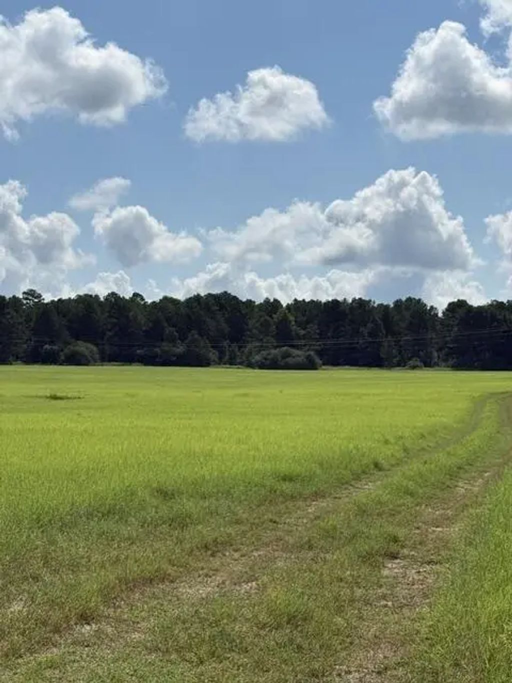 An Cnounty Road 1231, Palestine