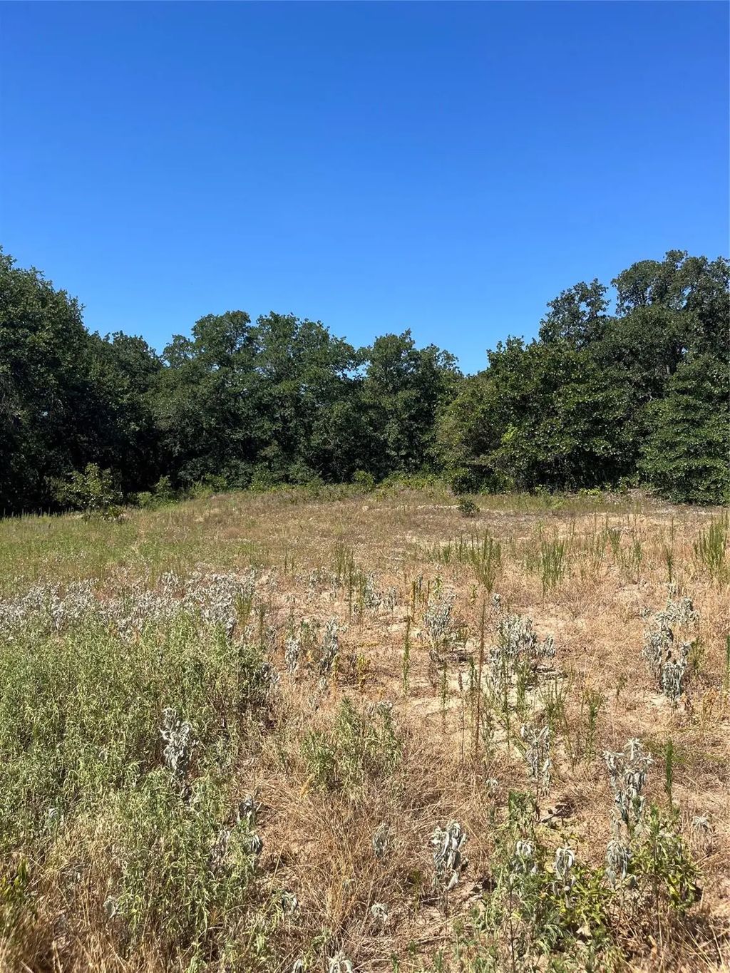 Lot 42 Antrim Court, Poolville