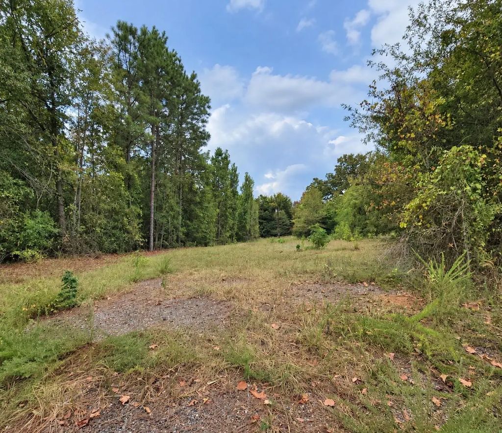 Ferguson Road, Harleton