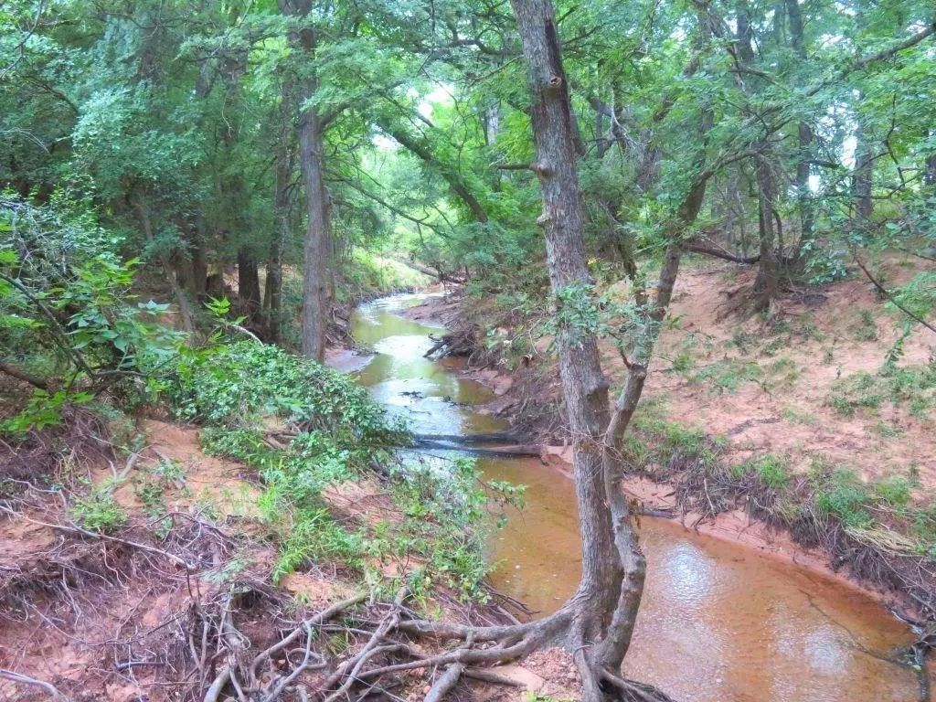Fm 1125, Bowie