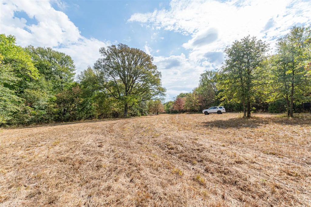 Tbd County Road 3226, Lone Oak