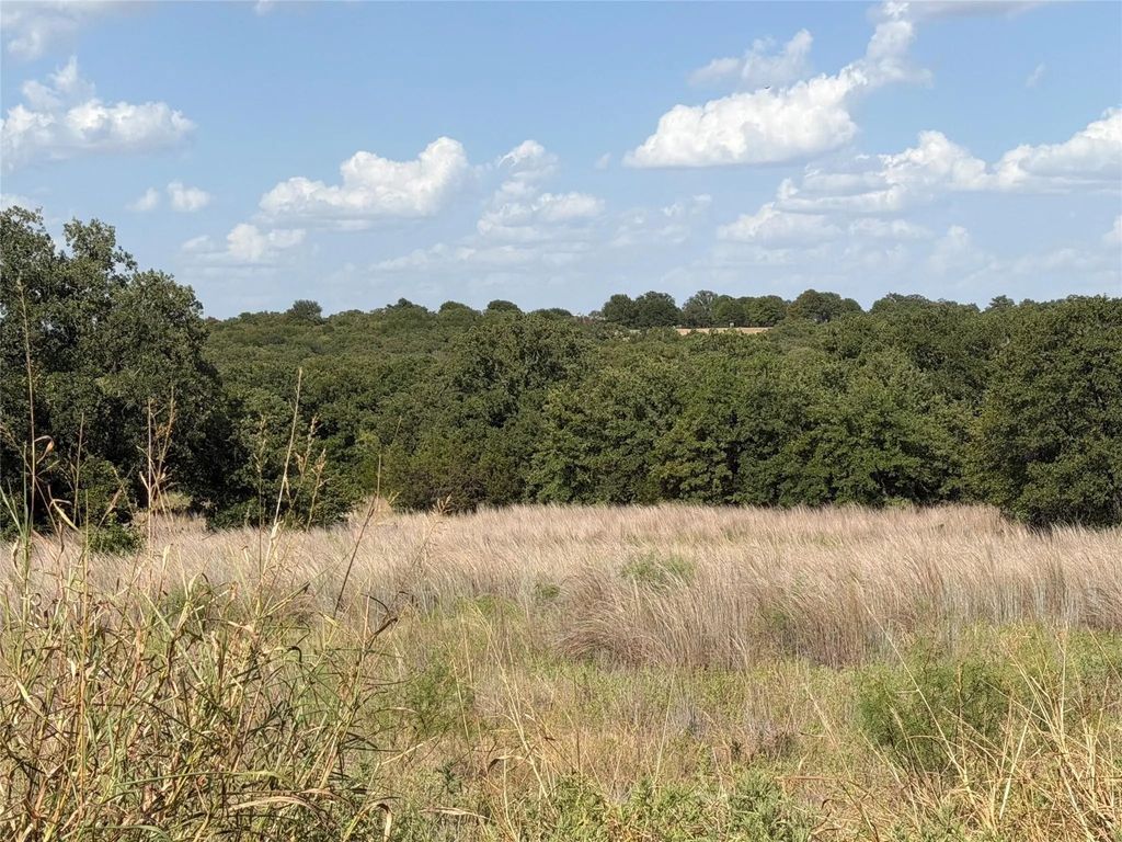 Lot 51 Tbd Turkey Court, Perrin