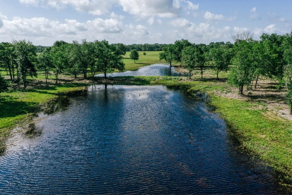 Fm 39, Mexia