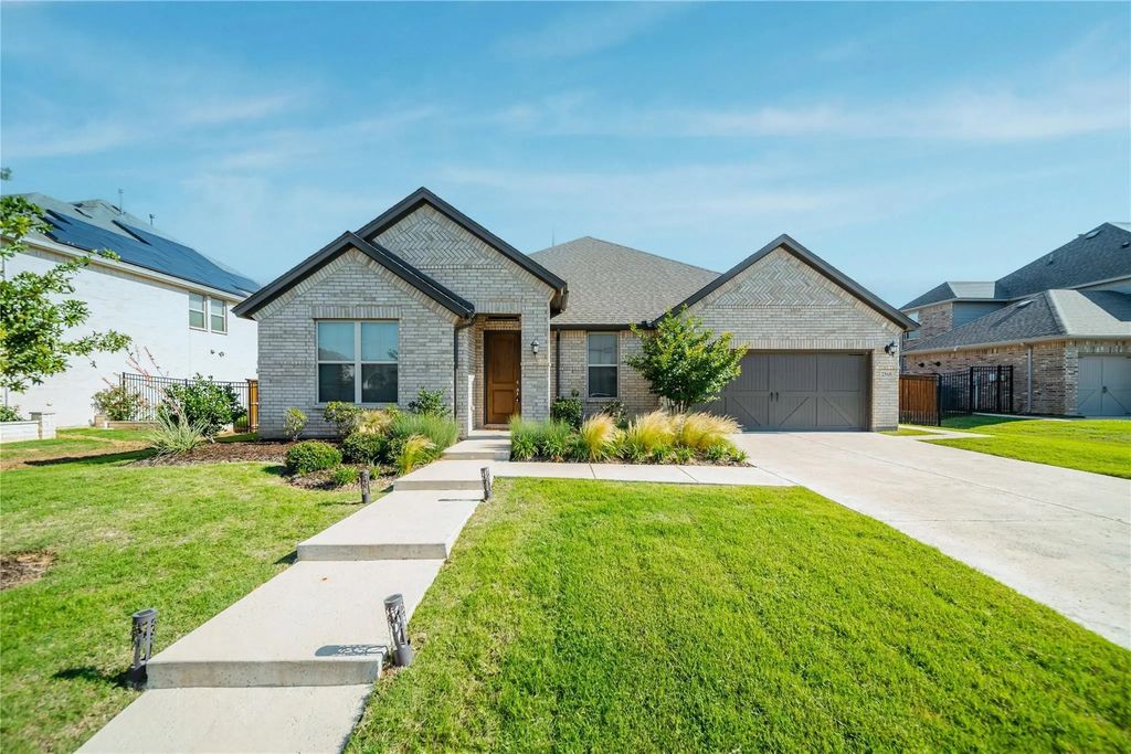 2568 Buckwheat, Frisco