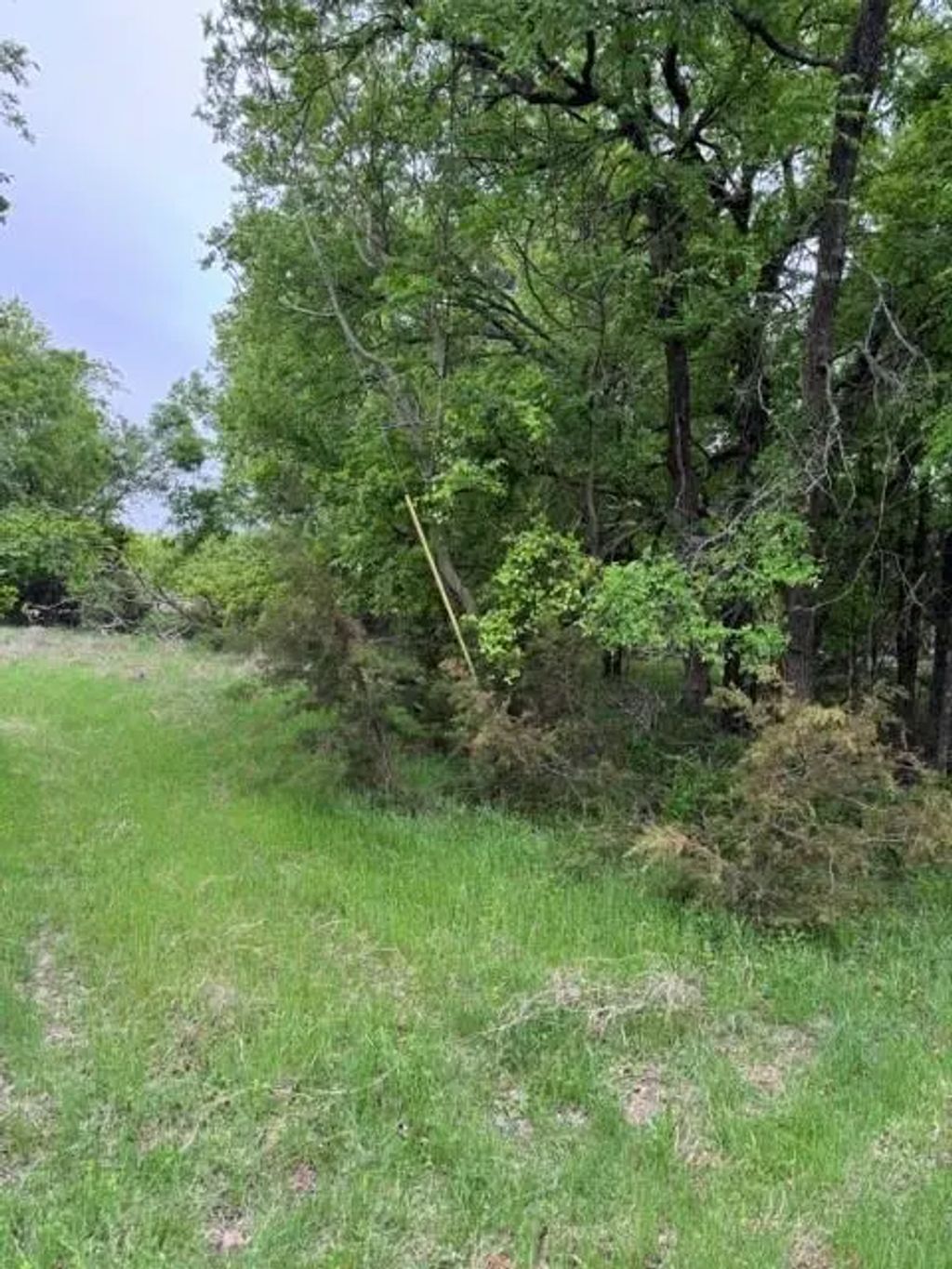 17082 Faircrest Drive, Whitney