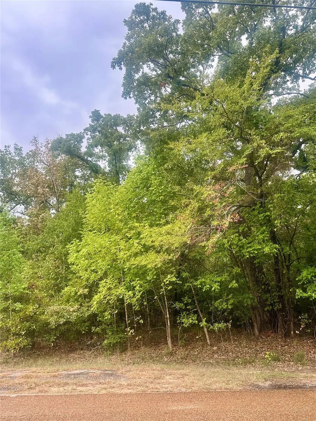Alamo Road, Log Cabin